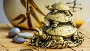 Значението на костенурката: къде да се сложи това, което символизира в бижутата и талисманите?