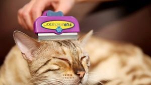 Ферминатори за котки: описание, видове, подбор и приложение