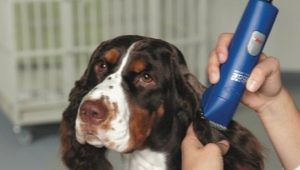 Машинки за подстригване на кучета: сортове, подбор и приложение