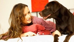 Език на кучето: как кучетата общуват със собственика и разбират ли го?