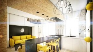Дизайн на кухня-хол 16 кв. m
