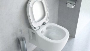 Безобидни тоалетни: описание и видове, плюсове и минуси