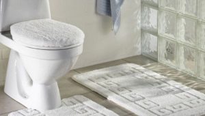 Изтривалки за тоалетни: сортове, избор, примери