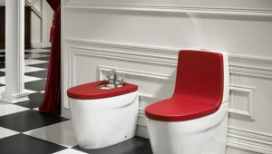 Подови тоалетни: устройство и разновидности, препоръки за избор