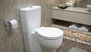 Височина на тоалетната: норми и стандарти