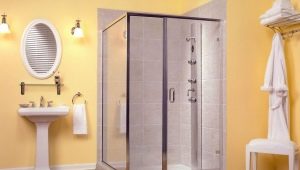 Стъклени врати за душ кабина: разновидности, избор, грижа