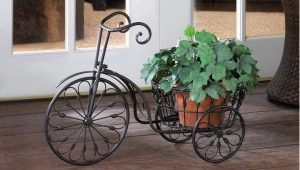 Стойка за велосипеди за цветя: сортове, препоръки за селекция