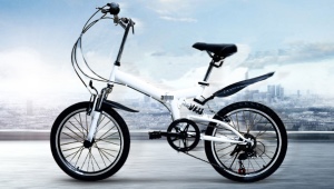20 инчови велосипеди: функции, видове и избор