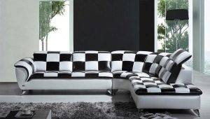 Черно-бели дивани: функции и правила за комбинация