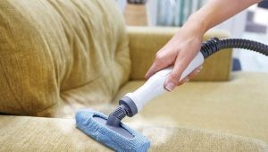 Мебелни парни почистващи препарати: характеристики, правила за избор и работа