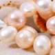 Културни перли: сортове и процес на отглеждане