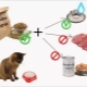 Колко храна се нуждае от котка на ден?