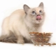 Суха храна за стерилизирани котки: свойства, производители, избор и диета