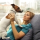 Породи за кучета за апартамент: как да изберем и поддържам?