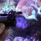 Направете компресор в аквариум със собствените си ръце