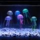 Медузи в аквариума: какви са и как да ги съхраняваме?