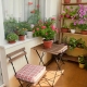 Как да използвате цветя за украса на балкон и лоджия?