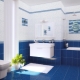 Синя плочка за банята: плюсове и минуси, разновидности, избор, примери