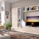 Стени за телевизия в хола: разновидности и препоръки за избор