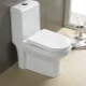 Моноблок тоалетна: функции и препоръки за избор