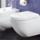 Villeroy & Boch тоалетни: описание и гама