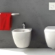 Видове тоалетни в купа: какво са и как да избера?