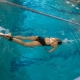 Фитнес оборудване за плуване в басейна: сортове, съвети за употреба и селекция
